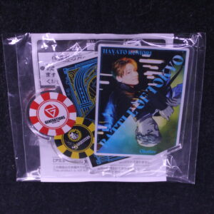 Battle Of Tokyo – Stand Acrylique