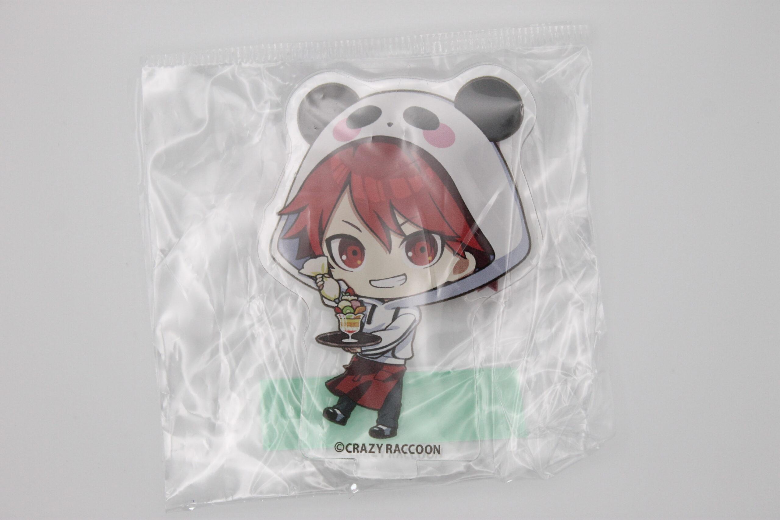 Crazy Raccoon – Stand Acrylique