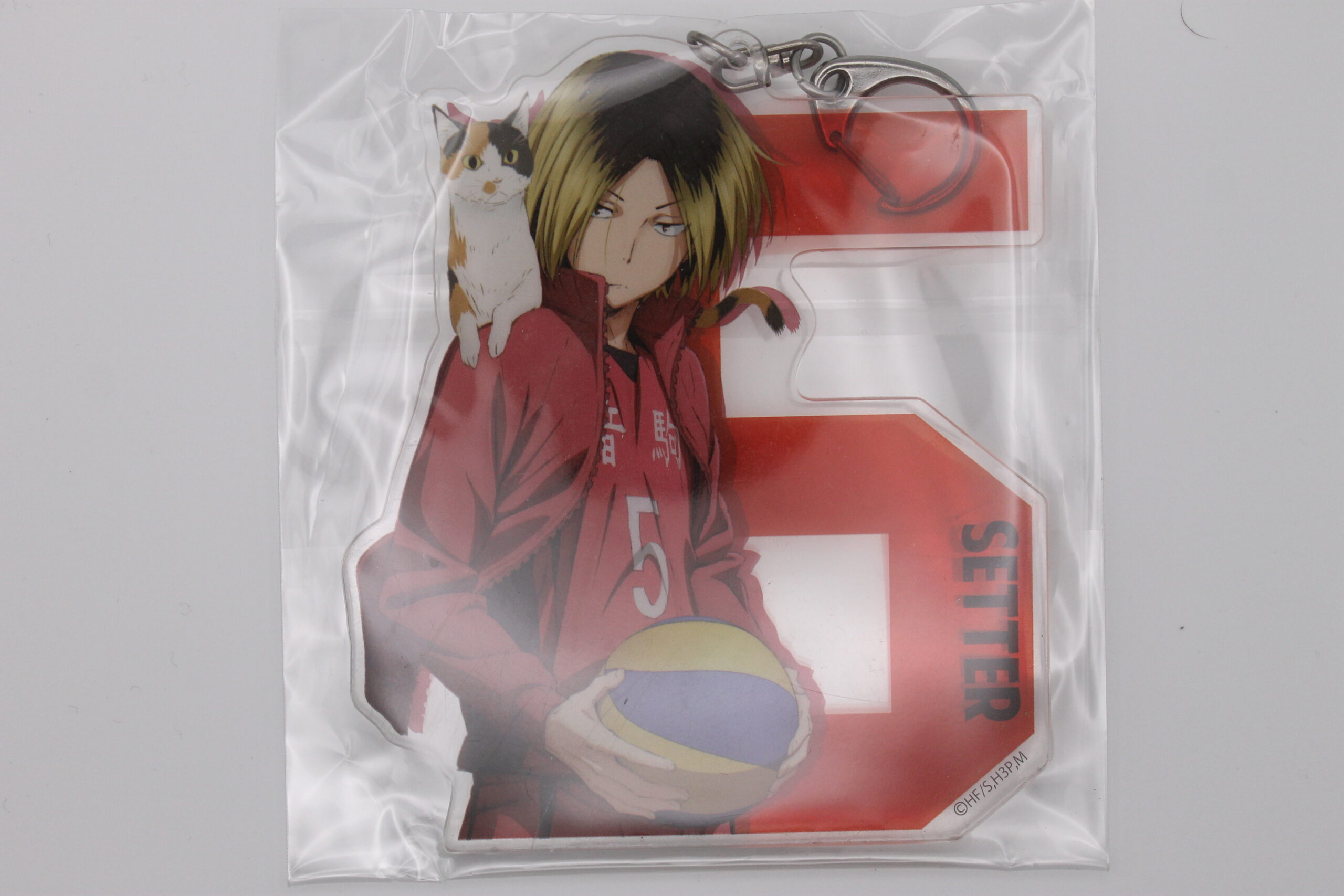 Haikyu – Porte-clé