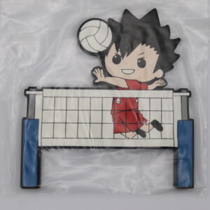 Haikyu – Aimant