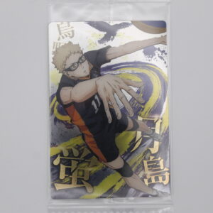 Haikyu – Trading Card