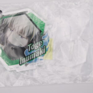 Jujutsu Kaisen – Stand Acrylique