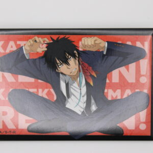Katekyo Hitman Reborn! – Badge